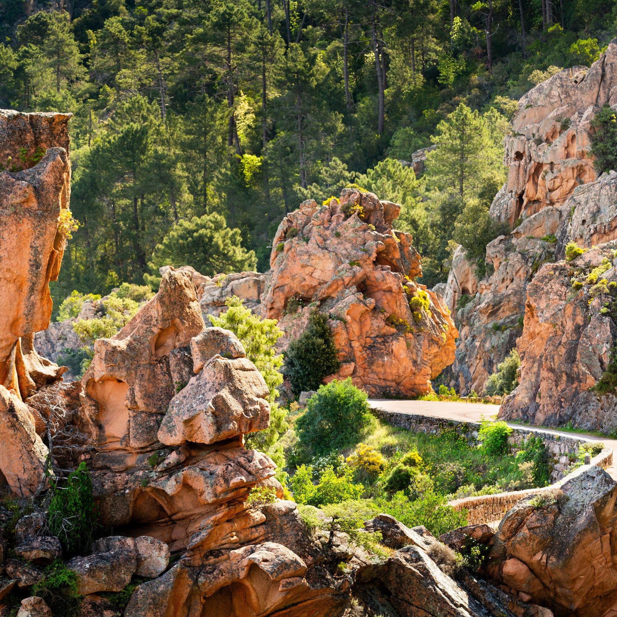 natur in sardinien korsika